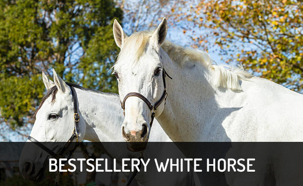 Bestsellery White Horse