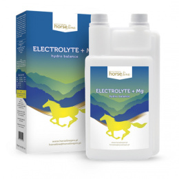 ELECTROLYTE + MG Elektrolity z magnezem 1000ml