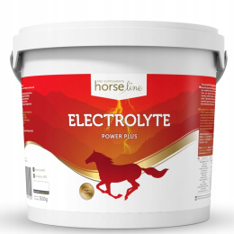 Electrolyte PowerPlus 3000g