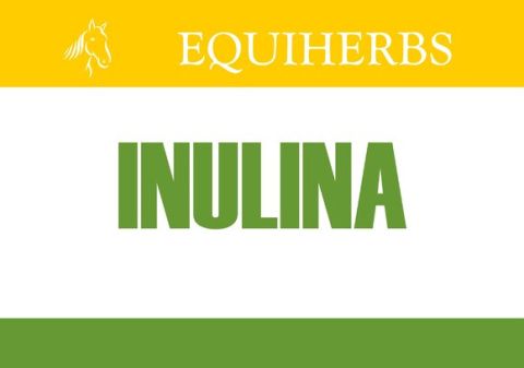 Inulina