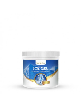 IceGel 650ml