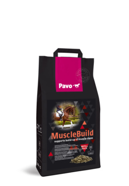 MuscleBuild 3 kg – Dla silnego i umięśnionego konia – worek 3 kg