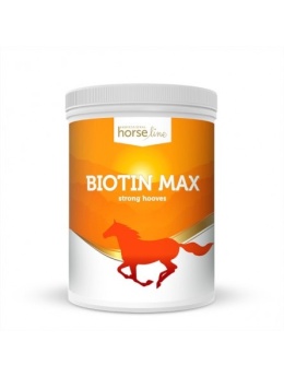 BiotinMax 1000g