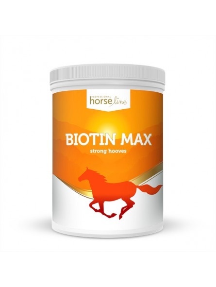 BiotinMax 1000g