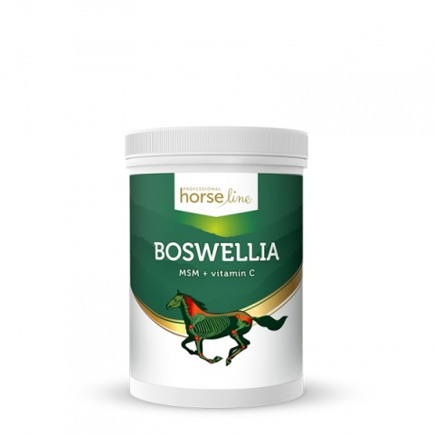 Boswellia Serrata 900g