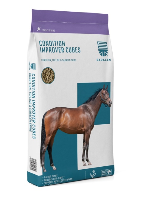 Condition-Improver Cubes 20kg - pasza dla koni sportowych słabo przybierających na masie