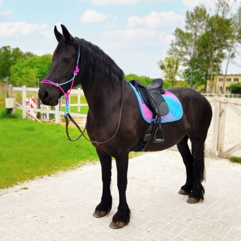 Czaprak Horsenjoy Rainbow Pastel wszechstronny Czaprak Horsenjoy Rainbow Pastel wszechstronny