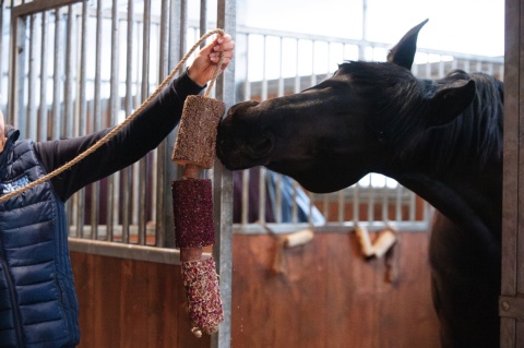 Gryzak „Full of Love” | Ziołowy gryzak z drewna dla koni