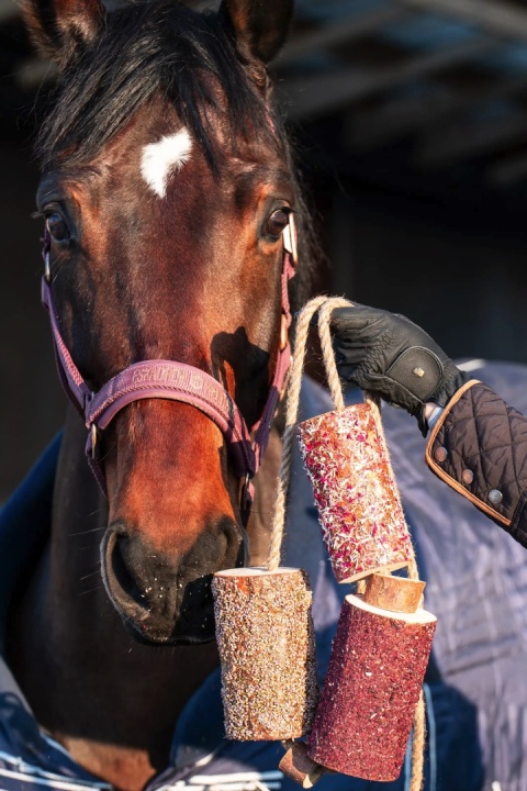 Gryzak „Full of Love” | Ziołowy gryzak z drewna dla koni