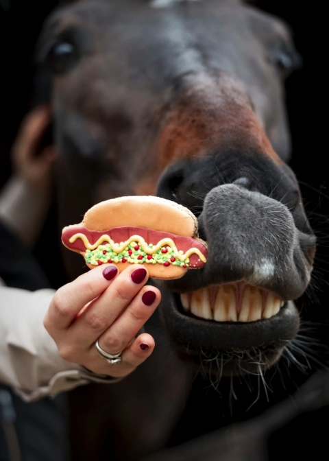 Hot Dog ciastko | Limitowana Edycja Lukrowanych Ciastek dla Koni