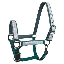 Kantar Horsenjoy Glow