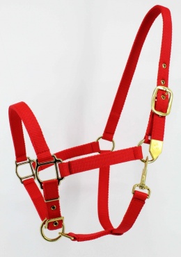 Kantar Mustang
