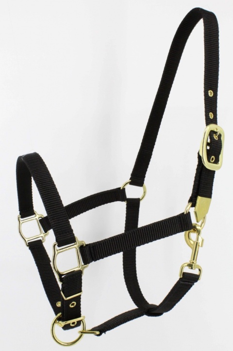 Kantar Mustang Kantar Mustang