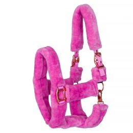 Kantar Teddy RoseGold