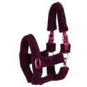 Kantar Teddy RoseGold