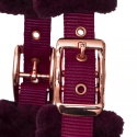 Kantar Teddy RoseGold