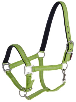 Kantar dla konia Mustang, Covalliero