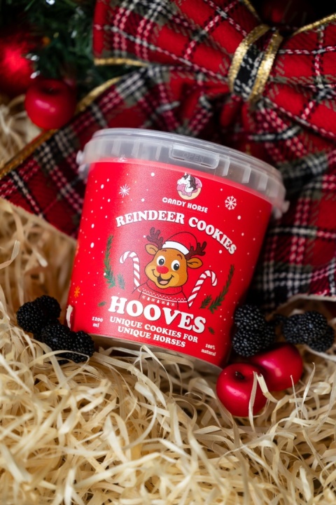 Kopytka dla konia Świąteczne🎄 - smaczki