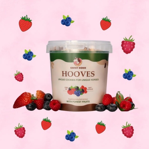 Kopytka owoce leśne I Duże pudełko ciastek dla koni