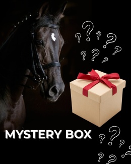 MYSTERY BOX