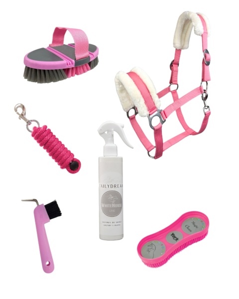 Zestaw MÓJ PIERWSZY KOŃ