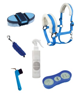 Zestaw MÓJ PIERWSZY KOŃ