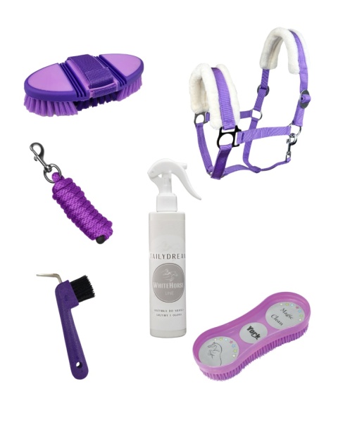 Zestaw MÓJ PIERWSZY KOŃ