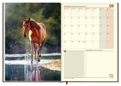 Terminarz Jeździecki 2026