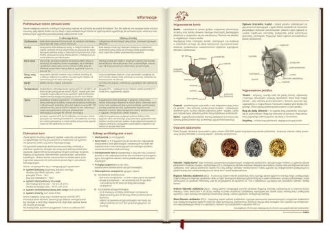 Terminarz Jeździecki 2026