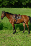 Tommy Hilfiger Equestrian Stanford czaprak skokowy