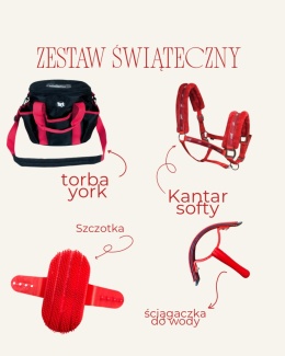 Zestaw świąteczny 1