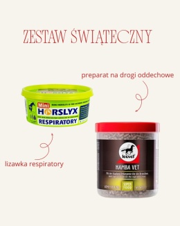 zestaw świąteczny 6