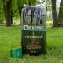 Hartog Lucerne Mix 18 kg – sieczka z lucerny dla koni