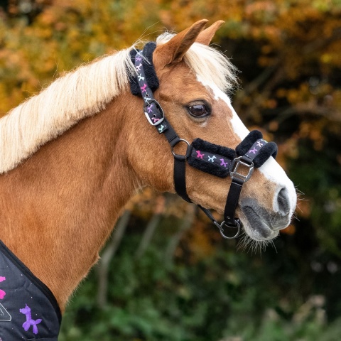 Kantar z uwiązem ISALYN, UNICORN DREAM