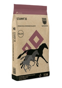 Stamm 30 Concentrate 20kg - pasza dla koni wyczynowych i hodowlanych - koncentrat