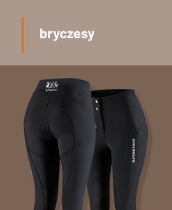 Bryczesy