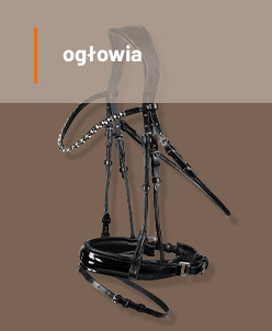 Ogłowia